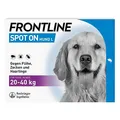 Produktbild: FRONTLINE Spot ON Hund L gegen Zecken, Flöhe & Haarlinge (große Hunde 20 bis 40 kg) - 3X Pipetten für bis zu 3 Monate Schutz - wasserfest