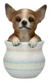 Produktbild: Chihuahua Figur im Blumentopf – Handbemalte Hunde-Statue aus Polyresin, 16 cm Höhe, detailreich & charmant