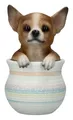 Produktbild: Figuren Shop GmbH Tierfigur Hunde Figur - Chihuahua im Topf - Tierfigur Hund Dekofigur Dekoration