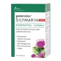 Produktbild: gasterodoc® SILYMARIN FORTE+ - 60 Mariendistel-Kapseln | DOC PHYTOLABOR