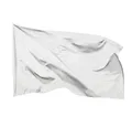 Produktbild: PHENO FLAGS Flagge Weiße Flagge 90 x 150 cm Fahne bemalen beschriften gestalten Frieden (Hissflagge für Fahnenmast), Inkl. 2 Messing Ösen