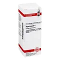 Produktbild: HYPERICUM D 4 Dilution 20 ml