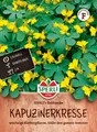 Produktbild: Kapuzinerkresse 'Goldranke' - Tropaeolum peregrinum, Kletterpflanze Samen, 85740