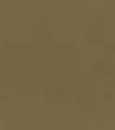 Produktbild: Rasch Vliestapete 751079 Braun-Goldbraun Uni 10,05 m x 0,53 m