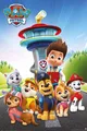 Produktbild: Paw Patrol Bereit Für Action Filmplakat 61x91,5 cm | 24x36 Zoll Neu Versiegelt