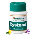 Produktbild: Cystone Himalaya 100 Tabletten