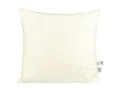 Produktbild: beties „PublikPlus“ Polsterkissen ca. 60x60 cm echte Federn (50% Mehrfüllung) perfekt als Rückenlehne Sitzkissen oder Bodenkissen Farbe Creme