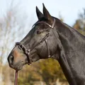 Produktbild: Kieffer Kappzaum Ultrasoft  - braun - Vollblut Kapp Zaum Reiten Training Pferde