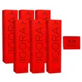 Produktbild: Schwarzkopf Igora Royal 6 x 60 ml 9-24 hellblond asch beige Haarfarbe Cremefarbe