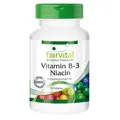 Produktbild: Vitamin B-3 Niacin (250 Tabletten)