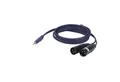 Produktbild: DAP DAP FL46 - stereo mini-jack to 2 XLR/M 3P 6 m Audio-Adapter, 600 cm