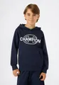 Produktbild: Champion Kapuzensweatshirt SPORTWEAR HOODIE Standard Fit (1-tlg)