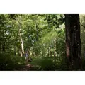 Produktbild: Garmin eTrex Solar
