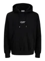 Produktbild: JACK & JONES Jjesoho Sweat Hood Noos