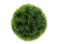 Produktbild: Künstliche Zimmerpflanze Grüne Deko Gras-Kugel künstlich Ø18cm Tischdeko Fensterbank, Viana, Höhe 18 cm