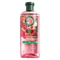 Produktbild: Herbal Essences Blütensanft Shampoo mit Rosenduft 350ml. Von stumpfem Haar zu seidig glänzendem Haare, Mit Rosenessenz, Inhaltsstoffe natürlichen Ursprungs, Vegan, ohne Silikone