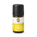 Produktbild: Leichter Lernen Duft ätherisches Öl 5 ml