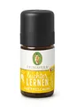 Produktbild: PRIMAVERA Kids Leichter Lernen Duftmischung 5 ml - Aromaöl, Duftöl, ätherisches Öl, Aromatherapie - konzentrationsfördernd, motivierend - vegan