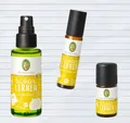 Produktbild: Primavera Set Leichter lernen Duftmischung Bio Airspray Roll-On Kids