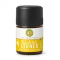 Produktbild: LEICHTER lernen Duft ätherisches Öl 5 ml
