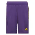 Produktbild: ADIDAS IB8098 TIRO 23 SHO Y Shorts Unisex Active Purple/Team Yellow Größe 1516