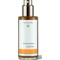 Produktbild: Dr. Hauschka Gesichtstonikum (Reinigungstücher Gesicht, 246 g) (HAU429000045)