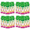 Produktbild: Air Wick Freshmatic Max Nachfüller Sommervergnügen 24 x 250ml (24er Pack)