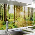 Produktbild: danario Küchenrückwand selbstklebend - Matt - Spritzschutz Küche - versteifte PET Folie - 0,4 mm - Sonnenstrahlen im Wald - 60cm x 220cm