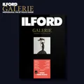Produktbild: ILFORD GALERIE Gold Fibre Gloss 310gsm | A3 25 Blatt