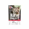 Produktbild: 5902414202887 RAW PALEO Adult Cat Sterilised Beef – Nassfutter für Katzen – 100