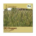 Produktbild: Samenliebe BIO Roggen Samen | Gründünger Winterroggen - winterhart - samenfestes BIO Saatgut