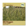 Produktbild: BIO Roggen Samen Sorte Winterroggen Blumensamen BIO Blumen Saatgut samenfeste Ro