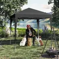 Produktbild: WOLTU Pavillon 2x2 m Wasserdicht Faltpavillon mit 4 Seitenwänden, Gartenpavillon wasserabweisend UV-Schutz 50+, höhenverstellbarer Partyzelt, mit