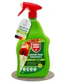 Produktbild: PROTECT GARDEN Lizetan Plus Schädlingsfrei AF, Blattlausfrei, Blattläuse und Schädlinge bekämpfen an Zierpflanzen, Rosen, Obst und Gemüse, 800 ml Spray