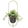 Produktbild: FRAMADO - Pflanzregal Wand - Blumenhalter Hängend - aus Metall, Moderne Wand Deko für Wohnzimmer, Jugendzimmer, Schlafzimmer, Küche - 18x21x50cm - Gold