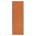 Produktbild: Hanse Home Fußmatte (S-XXL) 60x180cm – 12 Farben – Fussmatte Outdoor Schmutzfangmatte Türmatte Waschbar & Wetterfest rutschfest für Eingangsbereich & Außenbereich – Orange