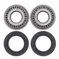 Produktbild: All-Balls Racing 25-1001 Radlagersatz vorne