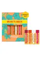 Produktbild: BURT'S BEES Lippenbalsam 500635, 4-tlg., Granatapfel Kokosnuss Birne Süße Mandarine