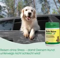 Produktbild: cdVet Gute Reise 30 Kapseln für Hunde - gegen Übelkeit und Unwohlsein auf Reisen