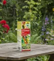 Produktbild: Neudorff Spruzit Schädlingsfrei  Konzentrat bekämpft Schädlinge 100 ml