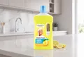 Produktbild: MEISTER PROPER Meister Proper Allzweckreiniger Citrusfrische, 1 l Allzweckreiniger