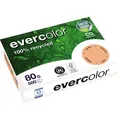 Produktbild: Clairefontaine  Clairefontaine Recyclingpapier Evercolor lachs DIN A4 80 g/qm 50