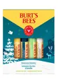 Produktbild: BURT'S BEES Lippenbalsam 500617, Beewax Bountry 4er Pack