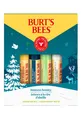 Produktbild: Burt's Bees Lip Balm Beewax Bountry 4er Pack