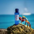 Produktbild: Acqua di Parma Blu Mediterraneo Arancia di Capri 30 ml Edt