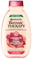 Produktbild: Garnier, Botanic Therapy Shampoo Stärkt Sprödes Haar Rizinusöl Und Mandel 400 ml, 1 stück