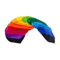 Produktbild: Wolkenstürmer® Paraflex Basic 2-Leiner Lenkmatte 2.1 (Regenbogen) - Rainbow Kite Drachen mit Flugschlaufen – Flugdrachen zum Lenken ab 10 Jahre
