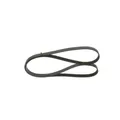 Produktbild: Keilrippenriemen Bosch 1987946295 für Chrysler Dodge Fiat Ford Chevrolet Jeep