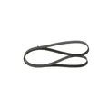 Produktbild: Bosch 1 987 946 295 Keilrippenriemen für Fiat Ford Dodge Jeep Chevrolet