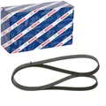 Produktbild: BOSCH KEILRIPPENRIEMEN 6PK1720 passend für CHEVROLET CAPTIVA DODGE CALIBER FIAT
